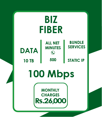 Biz Fiber Premium Internet